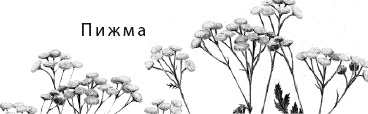 Иллюстрация к книге — Лесная сказка. С вопросами и ответами для почемучек [i_076.jpg]