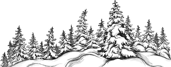 Иллюстрация к книге — Лесная сказка. С вопросами и ответами для почемучек [i_102.jpg]