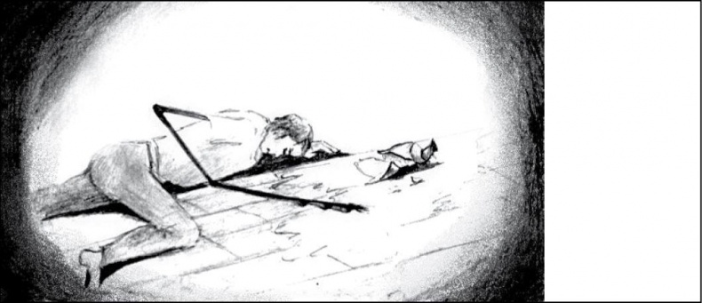 Иллюстрация к книге — Безумие ли? Как психиатры выставляют диагноз? [i_033.jpg]