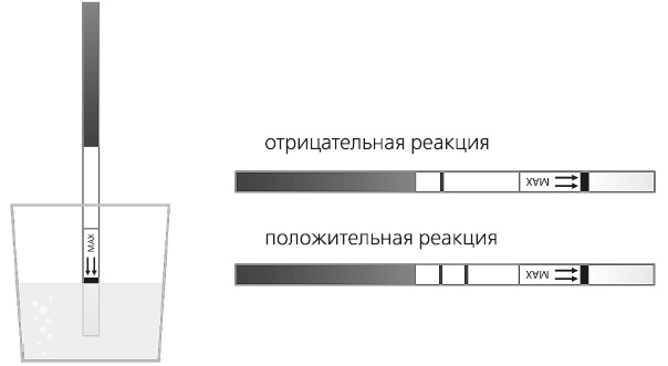 Иллюстрация к книге — Как работает иммунитет [i_026.jpg]