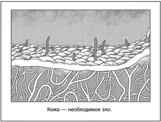 Иллюстрация к книге — Исчезающий город  [i_012.jpg]