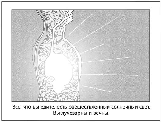 Иллюстрация к книге — Исчезающий город  [i_013.jpg]