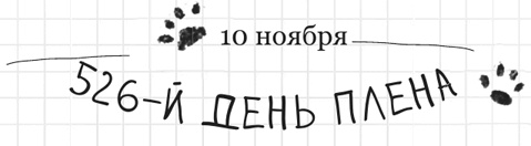 Иллюстрация к книге — Дневник дебильного кота 2. Банда Эдгара [i_003.jpg]