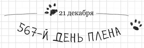 Иллюстрация к книге — Дневник дебильного кота 2. Банда Эдгара [i_007.jpg]