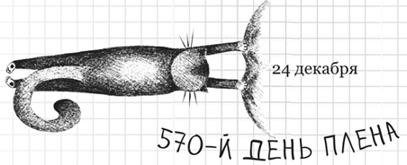Иллюстрация к книге — Дневник дебильного кота 2. Банда Эдгара [i_008.jpg]