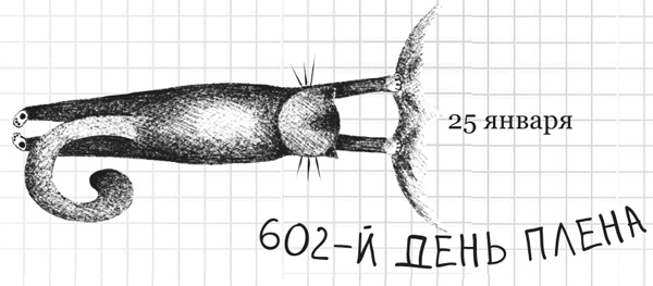 Иллюстрация к книге — Дневник дебильного кота 2. Банда Эдгара [i_019.jpg]