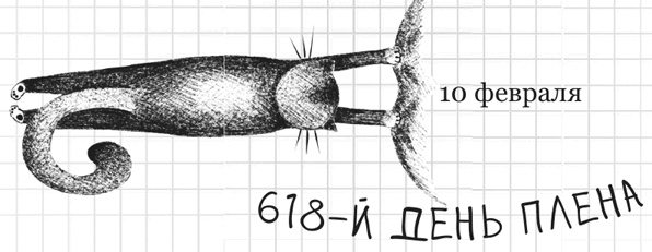 Иллюстрация к книге — Дневник дебильного кота 2. Банда Эдгара [i_025.jpg]