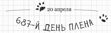 Иллюстрация к книге — Дневник дебильного кота 2. Банда Эдгара [i_059.jpg]
