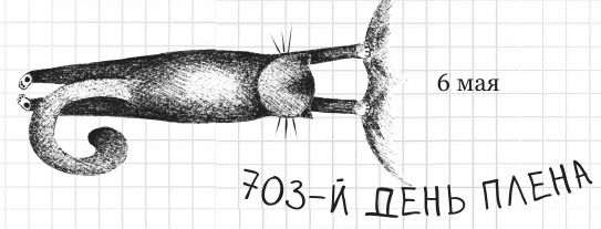 Иллюстрация к книге — Дневник дебильного кота 2. Банда Эдгара [i_073.jpg]