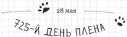 Иллюстрация к книге — Дневник дебильного кота 2. Банда Эдгара [i_091.jpg]