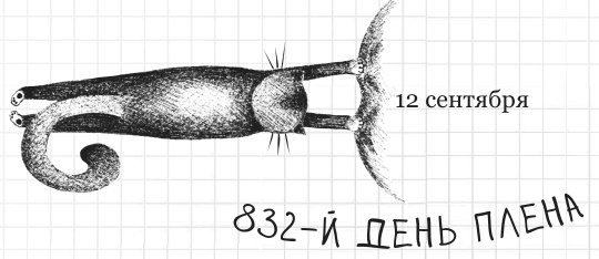 Иллюстрация к книге — Дневник дебильного кота 2. Банда Эдгара [i_120.jpg]