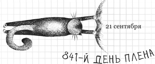 Иллюстрация к книге — Дневник дебильного кота 2. Банда Эдгара [i_125.jpg]
