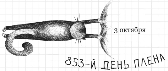 Иллюстрация к книге — Дневник дебильного кота 2. Банда Эдгара [i_135.jpg]