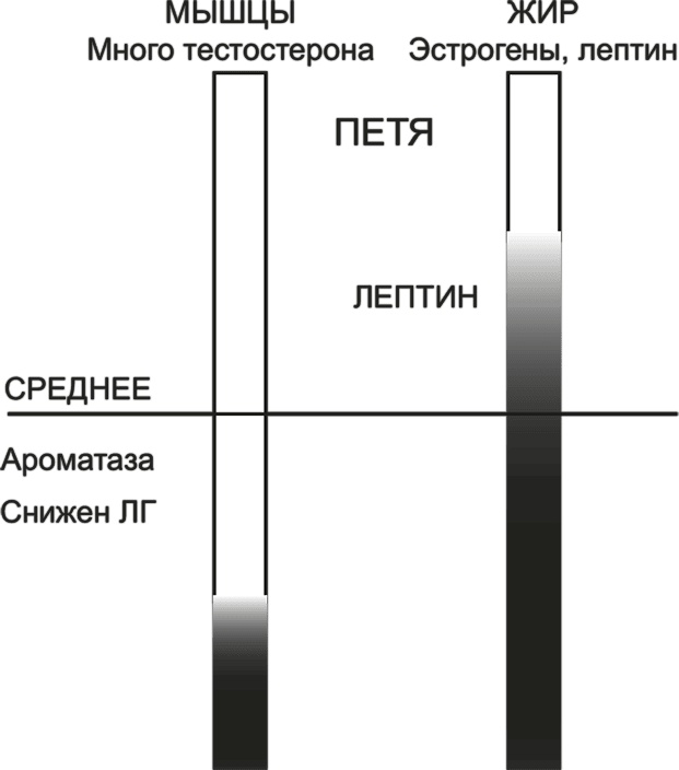 Иллюстрация к книге — FreshLife28. Как начать новую жизнь в понедельник и не бросить во вторник [i_028.jpg]