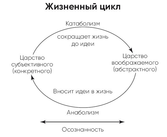 Иллюстрация к книге — Детокс души и тела. Как избавиться от эмоционального мусора и устранить причины болезней [i_002.jpg]