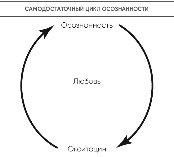 Иллюстрация к книге — Детокс души и тела. Как избавиться от эмоционального мусора и устранить причины болезней [i_008.jpg]