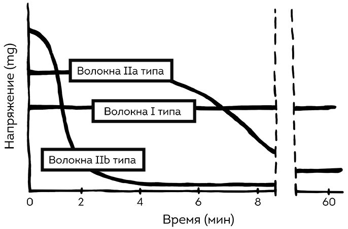 Иллюстрация к книге — Книга ЗОЖника  [i_028.jpg]