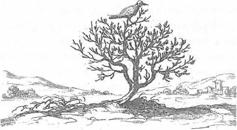 Иллюстрация к книге — Сказка сказок, или Забава для малых ребят [i_046.jpg]