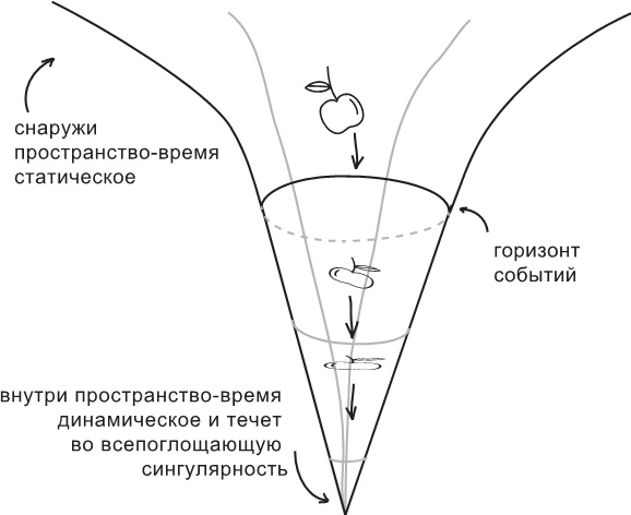 Иллюстрация к книге — Маленькая книга о черных дырах [i_001.jpg]