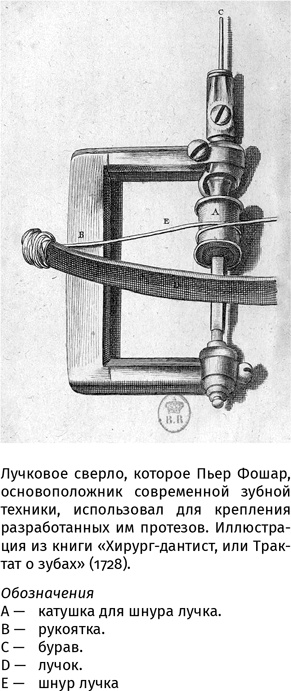 Иллюстрация к книге — 100 рассказов из истории медицины  [i_014.jpg]