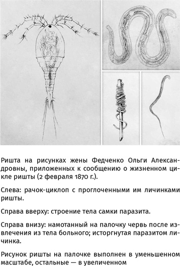 Иллюстрация к книге — 100 рассказов из истории медицины  [i_049.jpg]
