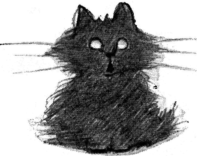 Иллюстрация к книге — Таинственный мир кошек. Мифология, история и наука о сверхъестественных способностях самого независимого домашнего питомца [i_001.jpg]