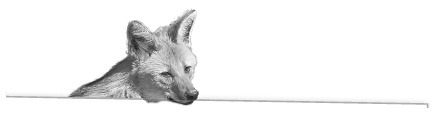 Иллюстрация к книге — Записки путешествующего ветеринара: нескучные истории о диких пациентах  [i_034.jpg]