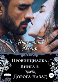 Книга Провинциалка 2. Дорога назад Книга Провинциалка 2. Дорога назад