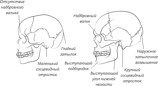 Невероятная случайность бытия. Эволюция и рождение человека