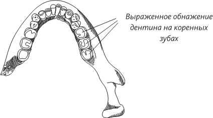 Невероятная случайность бытия. Эволюция и рождение человека