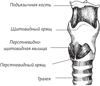 Невероятная случайность бытия. Эволюция и рождение человека