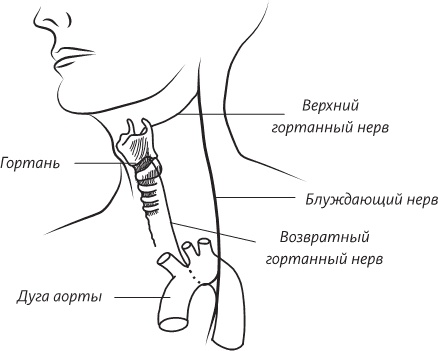 Невероятная случайность бытия. Эволюция и рождение человека
