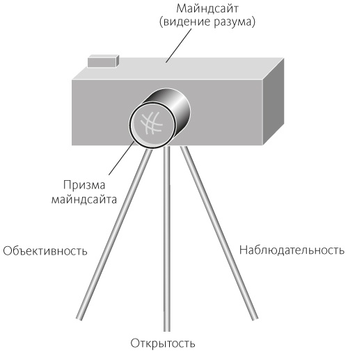 Иллюстрация к книге — Разум  [i_007.jpg]