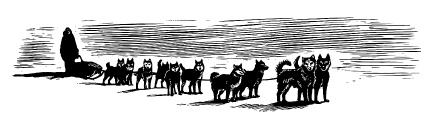Иллюстрация к книге — Лед [i_006.jpg]