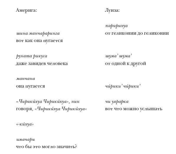 Иллюстрация к книге — Как мыслят леса. К антропологии по ту сторону человека [i_014.jpg]
