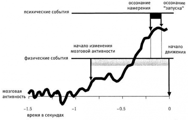 Иллюстрация к книге — Мозговодство  [i_021.jpg]