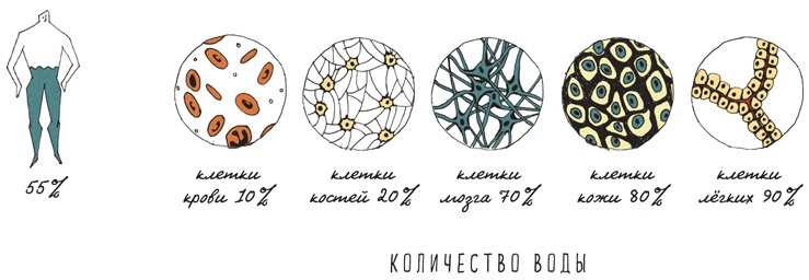 Иллюстрация к книге — Может ли жираф облизать свои уши? [i_059.jpg]