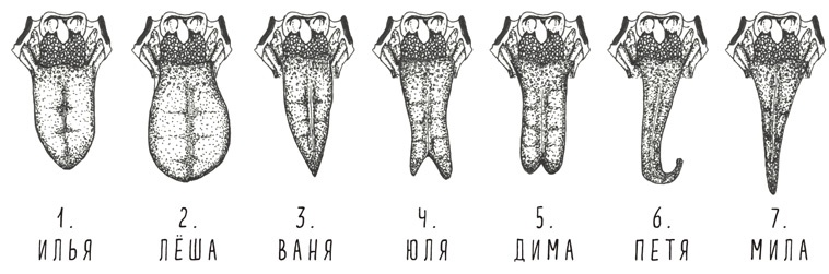 Иллюстрация к книге — Может ли жираф облизать свои уши? [i_070.jpg]