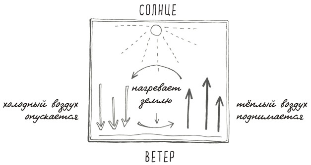 Иллюстрация к книге — Может ли жираф облизать свои уши? [i_191.jpg]