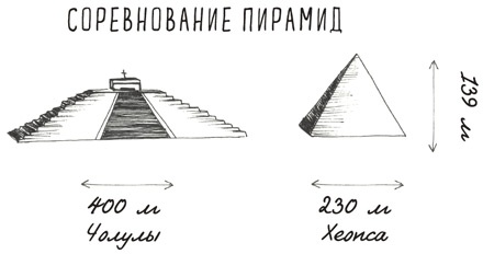 Иллюстрация к книге — Может ли жираф облизать свои уши? [i_217.jpg]