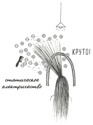 Иллюстрация к книге — Может ли жираф облизать свои уши? [i_254.jpg]