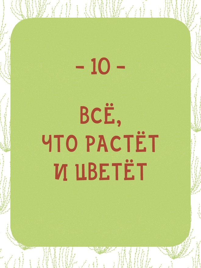 Иллюстрация к книге — Может ли жираф облизать свои уши? [i_292.jpg]