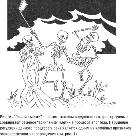 Иллюстрация к книге — Кривое зеркало жизни. Главные мифы о раке, и что современная наука думает о них [i_040.jpg]