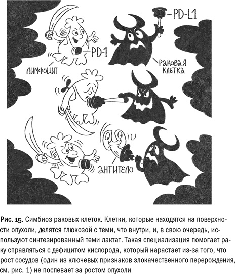 Иллюстрация к книге — Кривое зеркало жизни. Главные мифы о раке, и что современная наука думает о них [i_052.jpg]