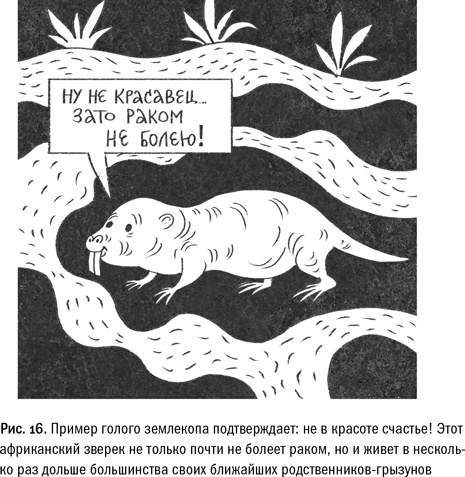 Иллюстрация к книге — Кривое зеркало жизни. Главные мифы о раке, и что современная наука думает о них [i_058.jpg]