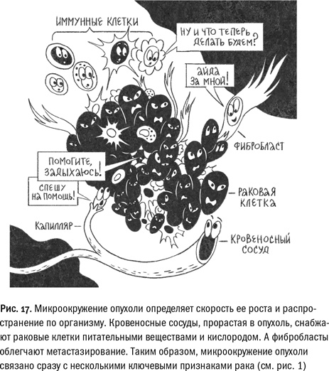 Иллюстрация к книге — Кривое зеркало жизни. Главные мифы о раке, и что современная наука думает о них [i_065.jpg]