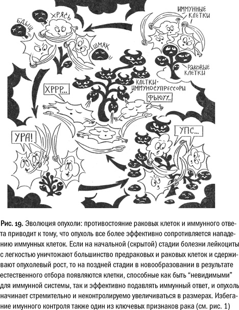 Иллюстрация к книге — Кривое зеркало жизни. Главные мифы о раке, и что современная наука думает о них [i_078.jpg]