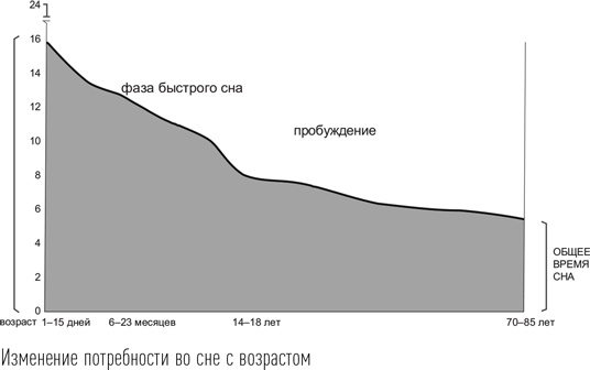 Иллюстрация к книге — Загадки сна [i_009.jpg]