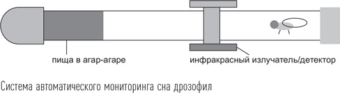 Иллюстрация к книге — Загадки сна [i_017.jpg]