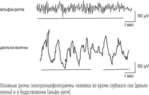 Иллюстрация к книге — Загадки сна [i_023.jpg]